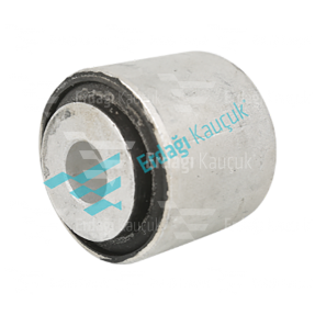 DENGE KOL BURCU / 10-00405